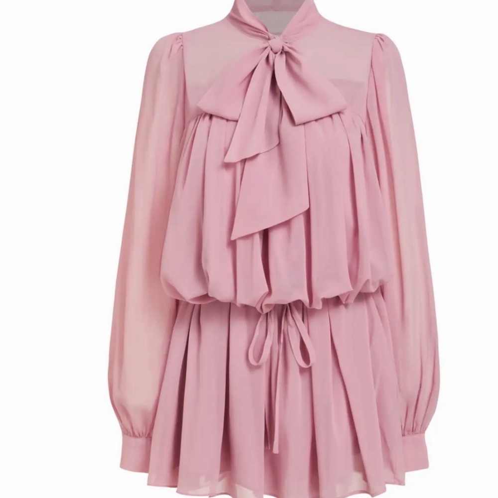 Cider Blush Long Sleeve Dress with Bow
